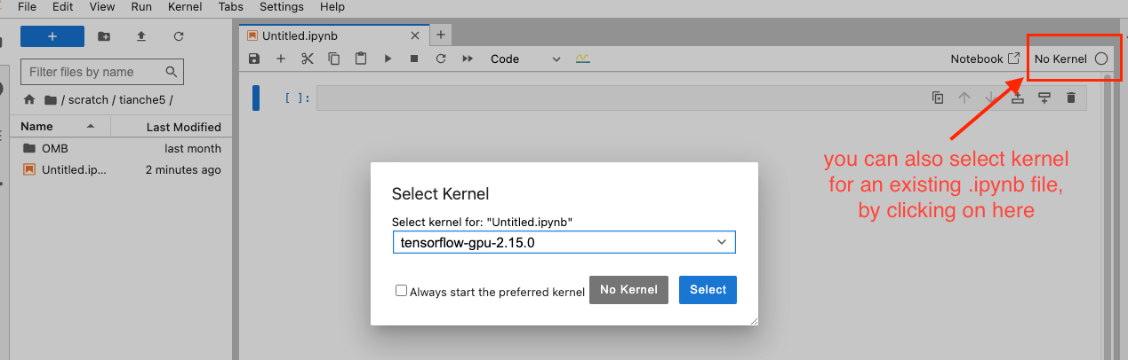 Jupyter Kernel Selection